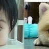 Lluti profil fotoğrafı