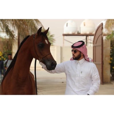 omaralya7ya's profile picture