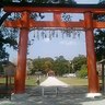 モーリー 的头像
