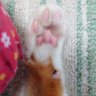 Profilbild von oscar