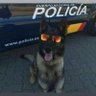 SPECTER profil fotoğrafı