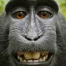 デリカープ's profile picture