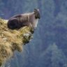 Hyze. profil fotoğrafı