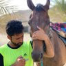 Фото профиля مہروانہ الراشہدي͠