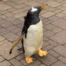 Profilbild von JC