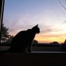 Yuzumi profil fotoğrafı