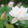 Фото профиля のの hiro