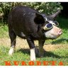 Moo999's profile picture