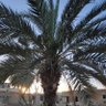 أبو عبدالله profil fotoğrafı