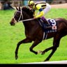 Фото профиля ステゴと愉快な子供たち