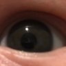 Profilbild von Dan