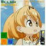 夜月 桜🌸和コス大好き♪薄桜鬼:雪村 千鶴☆サーバルちゃんとお友だち♪メインアカウント's profile picture
