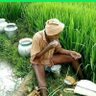 முதியோன்'s profile picture