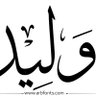 وليد الغزالي's profile picture