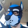 PupSageSD's profile picture