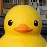 Фото профиля The mysterious duck