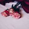 Suad Alshikh 的头像