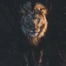Фото профиля El_Leon