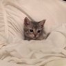 cleopatra's profile picture