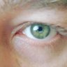 Profilbild von mert