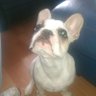 Susan Weir's profile picture