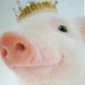 Profilbild von Sacky*゚