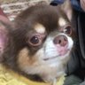 034's profile picture