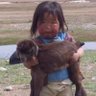katsumoto profil fotoğrafı