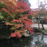 ゆ〜すけ profil fotoğrafı