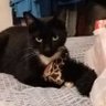 Lillie's profile picture