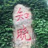 澄怀观道's profile picture