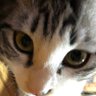 うぃ(๑╹ω╹๑ )'s profile picture