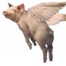 Ross Clelland's profile picture