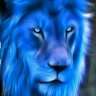 Jacki Hillis's profile picture