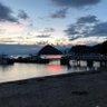 🍊わかめ⚓️ 的头像