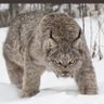 Фото профиля dan fuchs