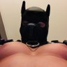 Pup Hügi profil fotoğrafı