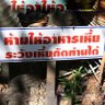 Фото профиля ขาเบียดเสียดสีใคร