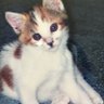 chika profil fotoğrafı