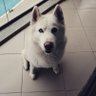 V's profile picture