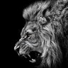 Фото профиля カズ♠️🦁