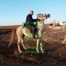 Фото профиля البدري الهلالي
