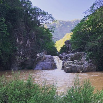 SouthernValue95's profile picture
