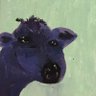 Vincent StClair's profile picture