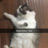 Lil' Mama profil fotoğrafı