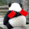 卡布 的头像
