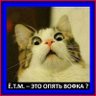Виктор Дубровский 的头像