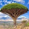 包慶豐 profil fotoğrafı