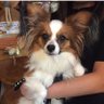 LALA's profile picture