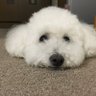 ラッキーワン profil fotoğrafı